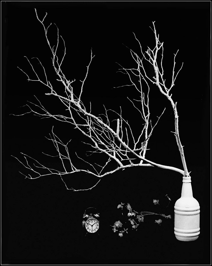 black & white, still life, film, rollei retro 100,, senato®
