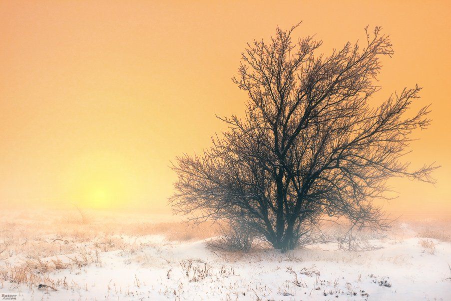 утро, зима, winter, morning, туман, Batoev Anton