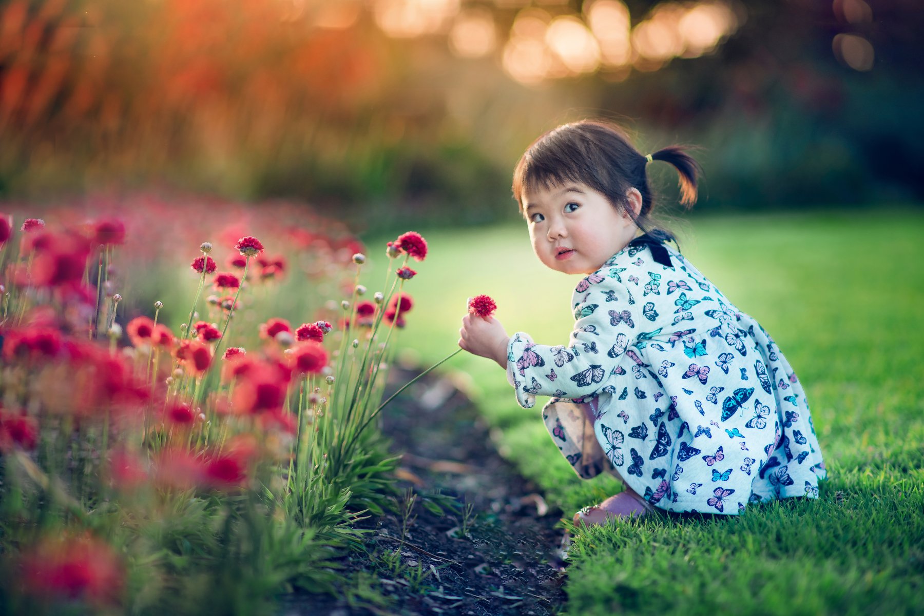 kid, childhood, colorful, natural light, flowers, spring, blossom, Derek Zhang