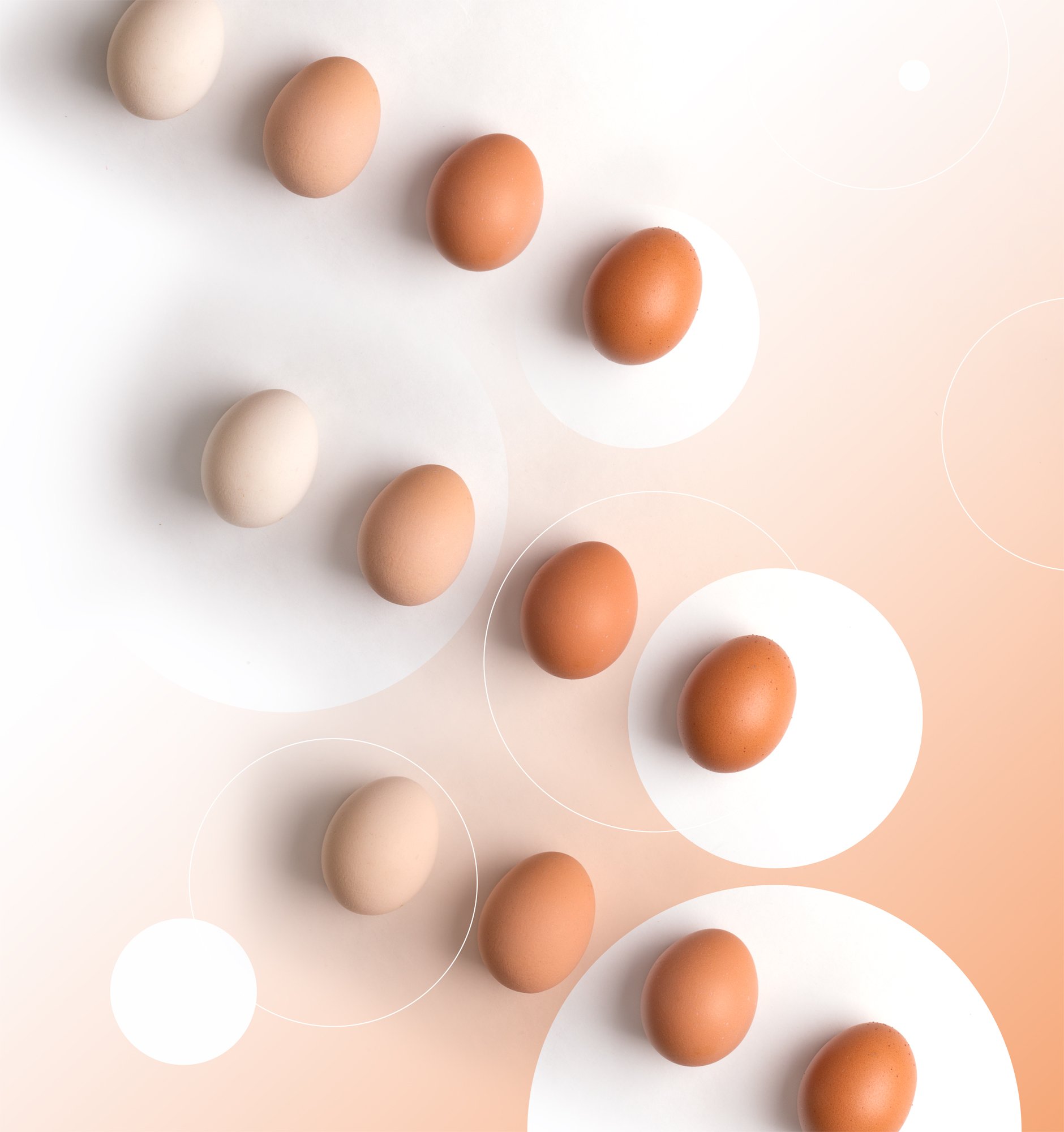 яйцо, яйца, тональность, оттенки, вид сверху, натюрморт, креативный, концепт, Наталья Голубева