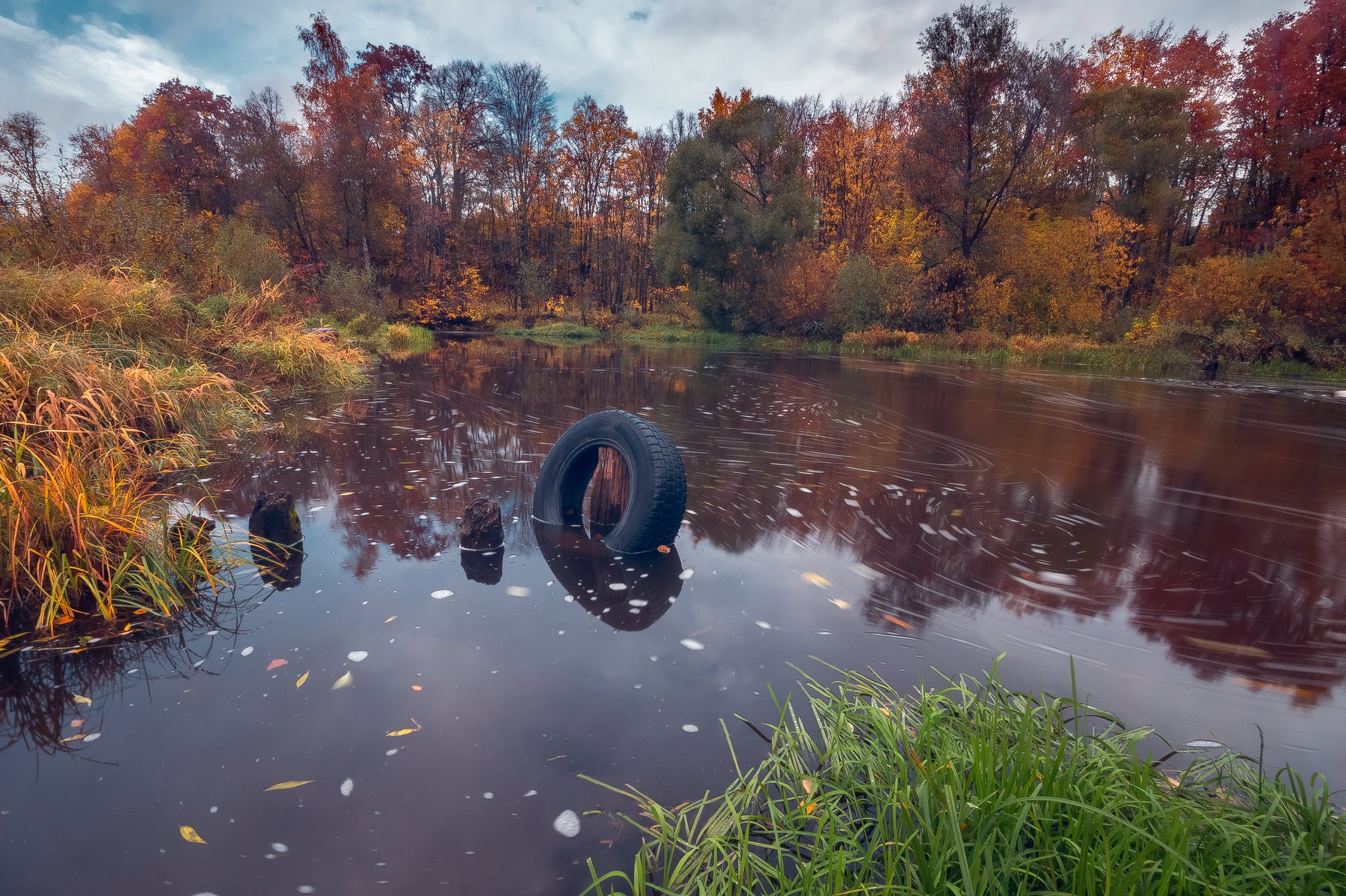 осень, река, вода, деревья, листва, Дмитриев Алексей