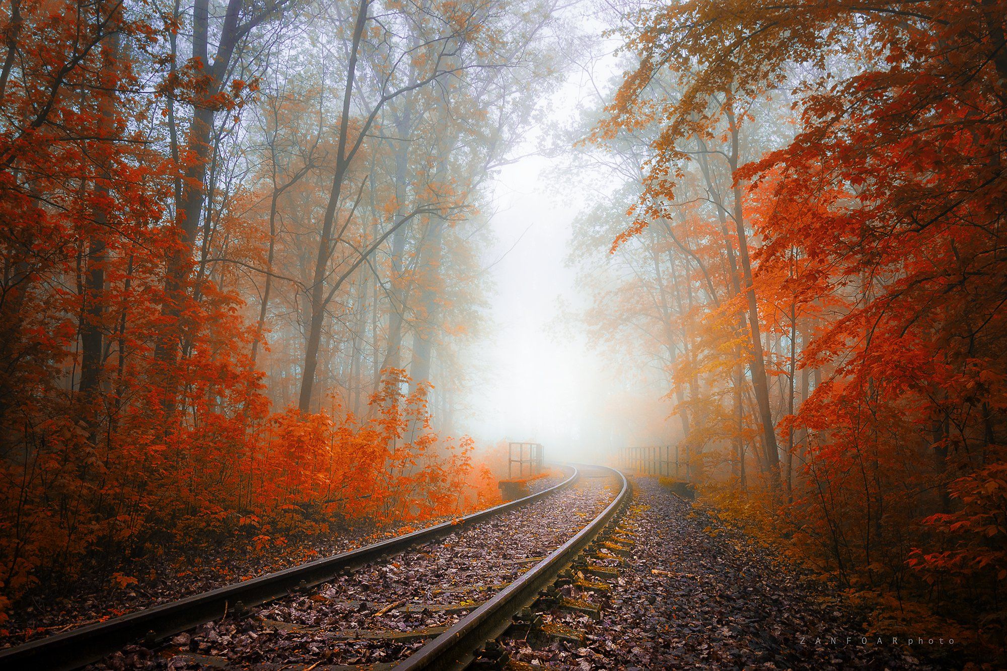 осень,   железная дорога,   деревья, туман, ностальгия, дымка, листья, цвета осени, чешская республика, тоннель, nikon d7000,zanfoar,чехия, Zanfoar