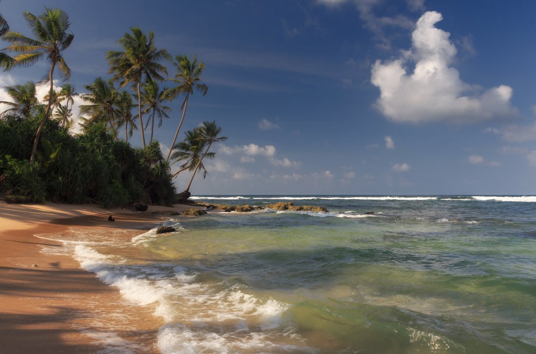 Берег пляж песок волны пальмы облака океан Шри Ланка, Георгий Машковцев