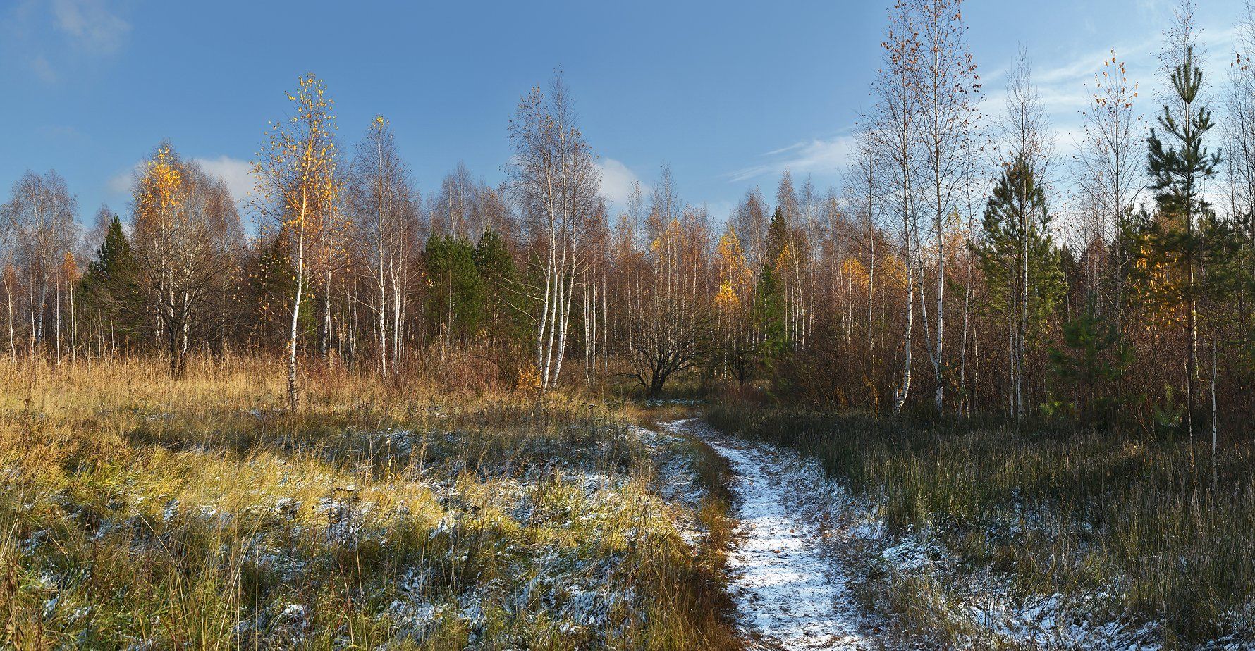 солнечный день, желтые листья, березки, тропинка, снег, осень, Irina Shapronova
