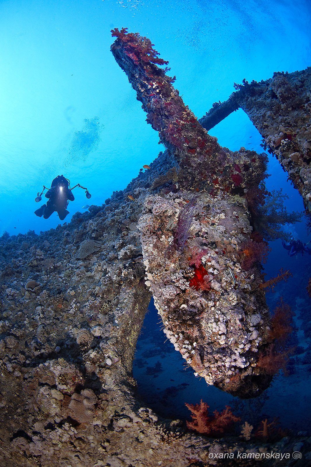wreck SS Dunraven, Оксана Каменская
