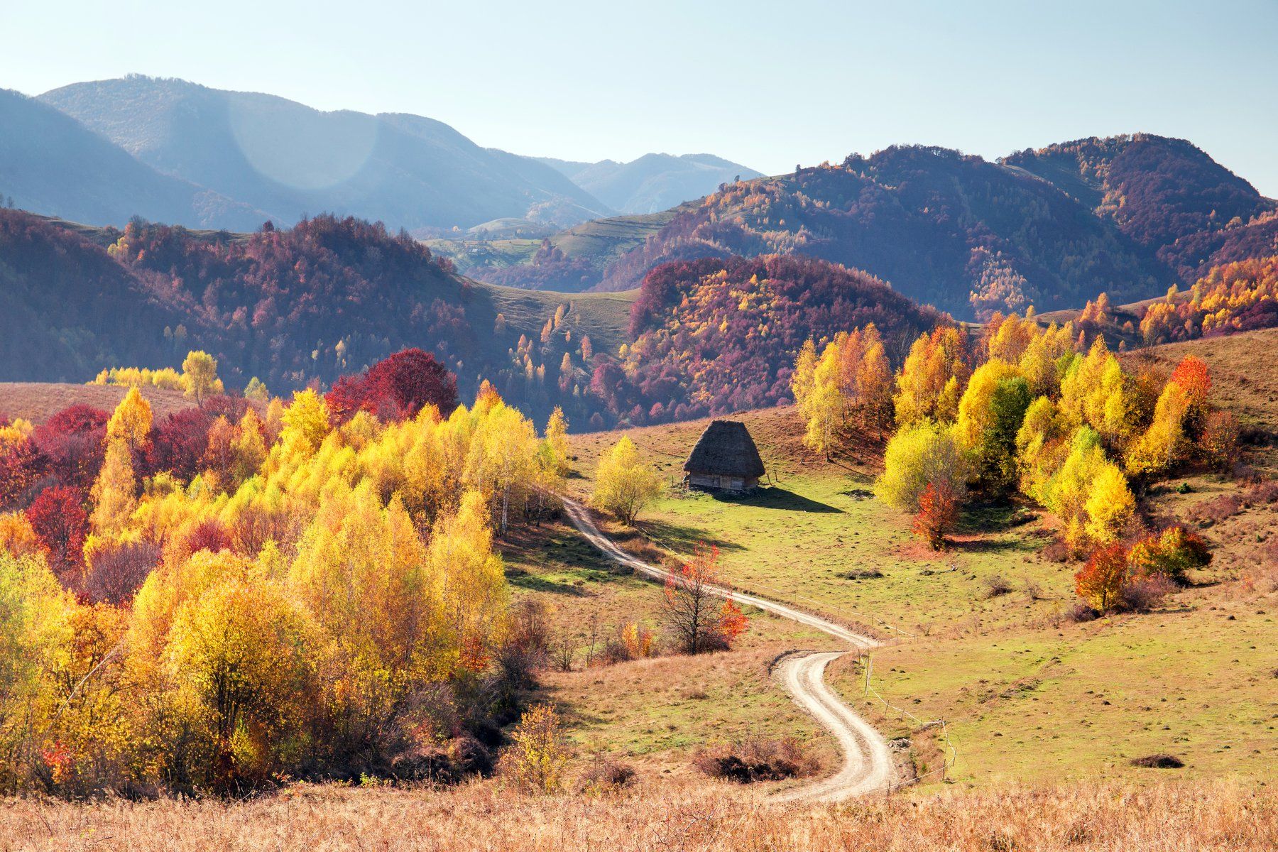 road,autumn,colors,trees,house,fall,, Marius Turc