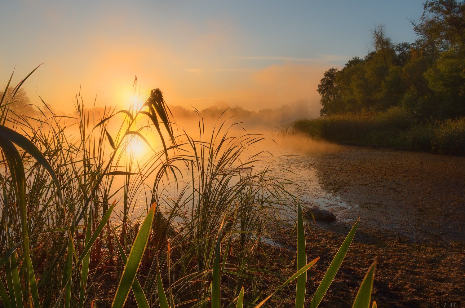 autumn, fog, lake, light, morning, sunrise, камыши, озеро, осень, плавни, рассвет, солнце, туман, Утро, Misty, colors, I'M