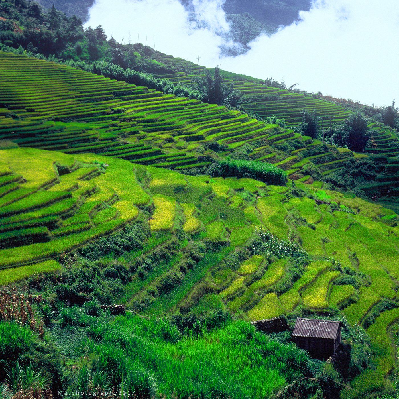 #filmslide #mediumformat #6x6 #travel #velvia50 #vietnam, Ma Phố