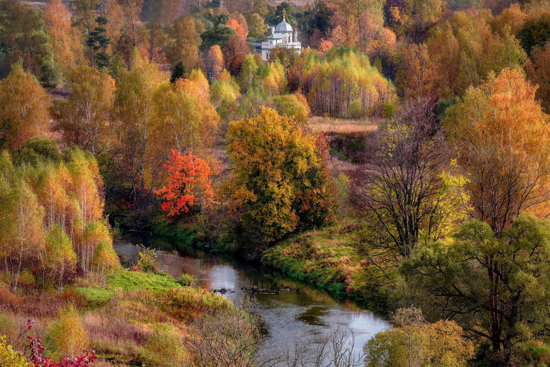 пейзаж, осень, истра, река, цвета, краски, деревья, желтый, красный, Андрей Чиж