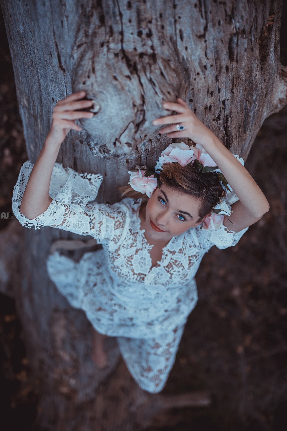 dress, forest, beauty, beautifull, model, fairy, nymph, Atanas Petkov