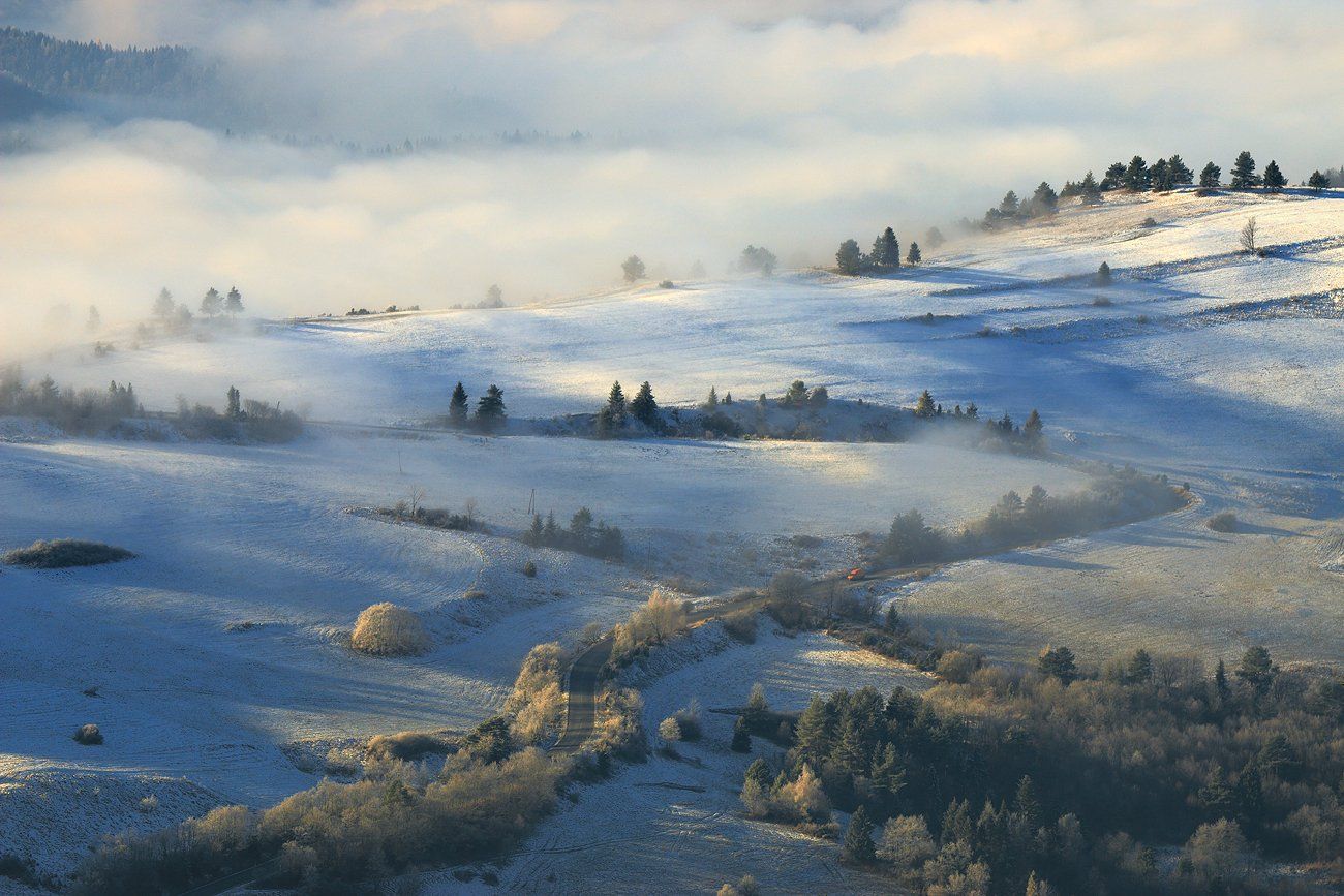 pieniny, slovakia, mountains, road, trees, winter, snow, morning, mist, light, Jacek Lisiewicz