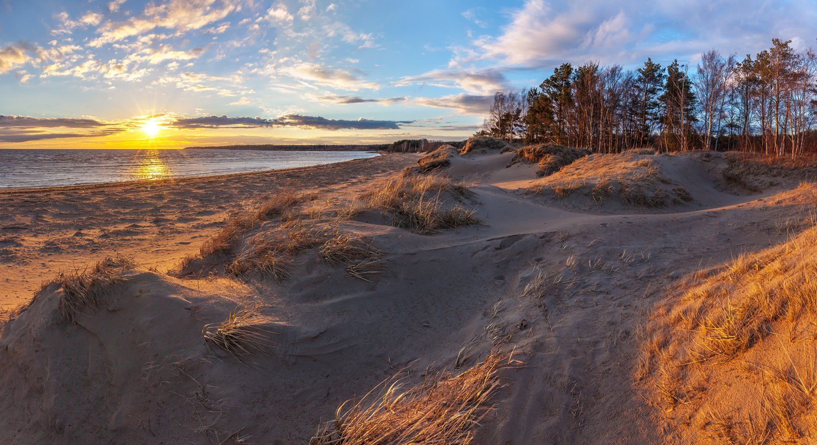 сосновый бор, ленинградская область, природа ленинградской области, пляж, Арсений Кашкаров