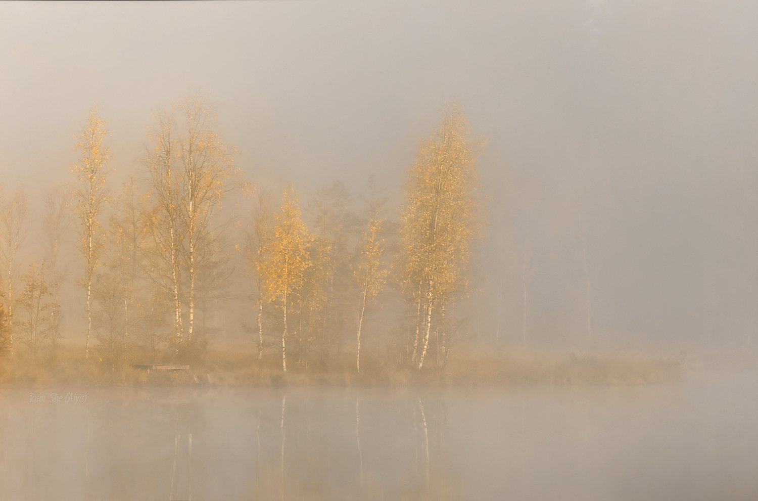 питер, рассвет, туман, утро, осень, болото, озеро, Таня SHE (Aiya)
