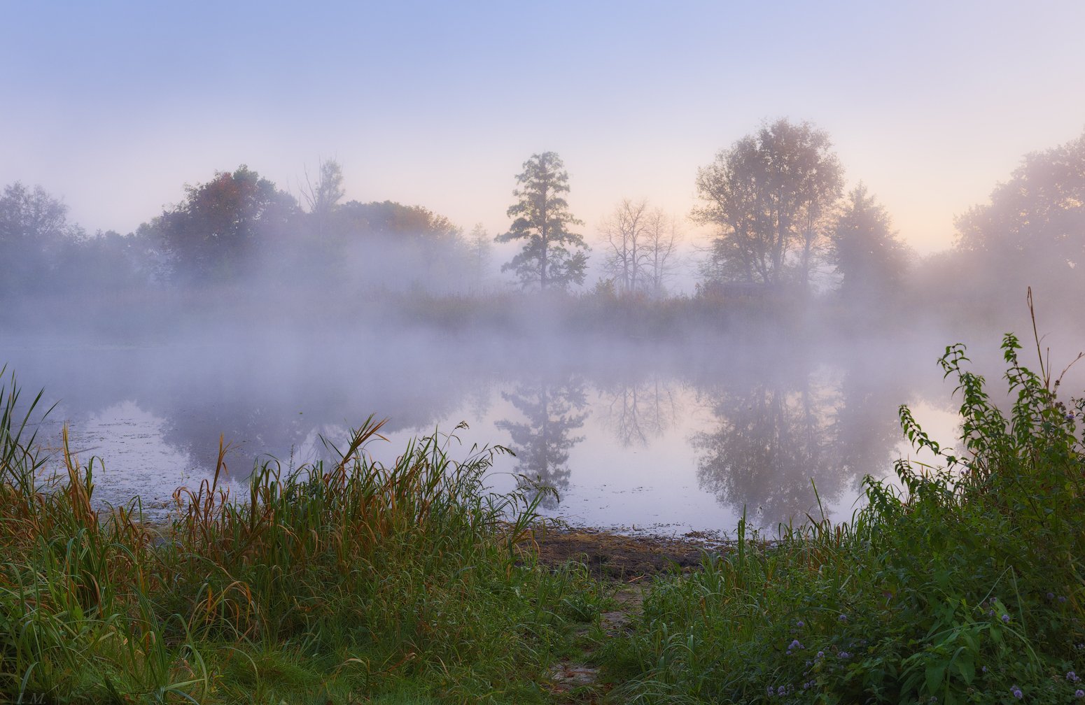 утро, рассвет, осень, озеро, туман, деревья, autumn, fog, trees, lake, forest, water, foggy, misty, before sunrise, silence, тишина, I'M