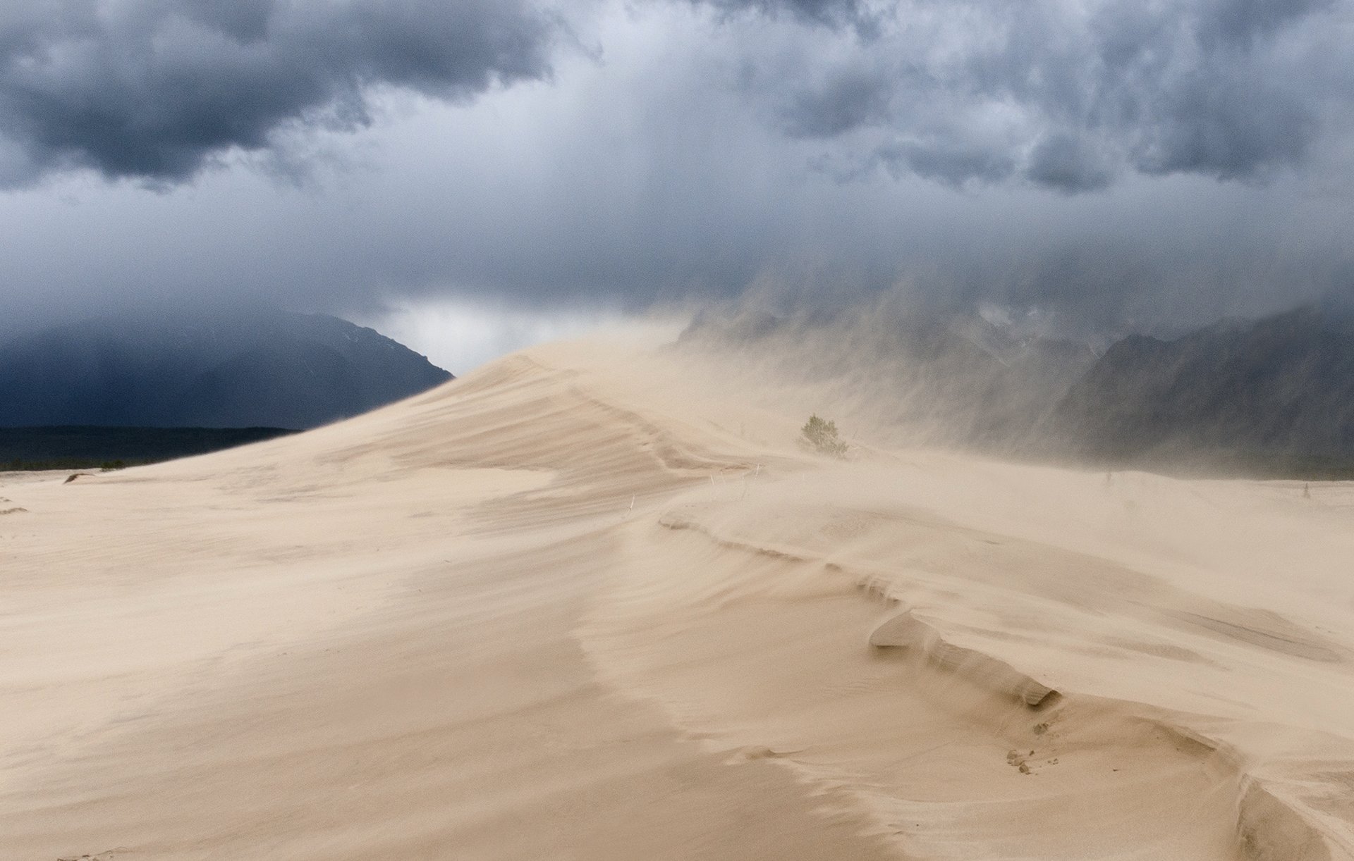 песчаная буря, Сергей Козлов