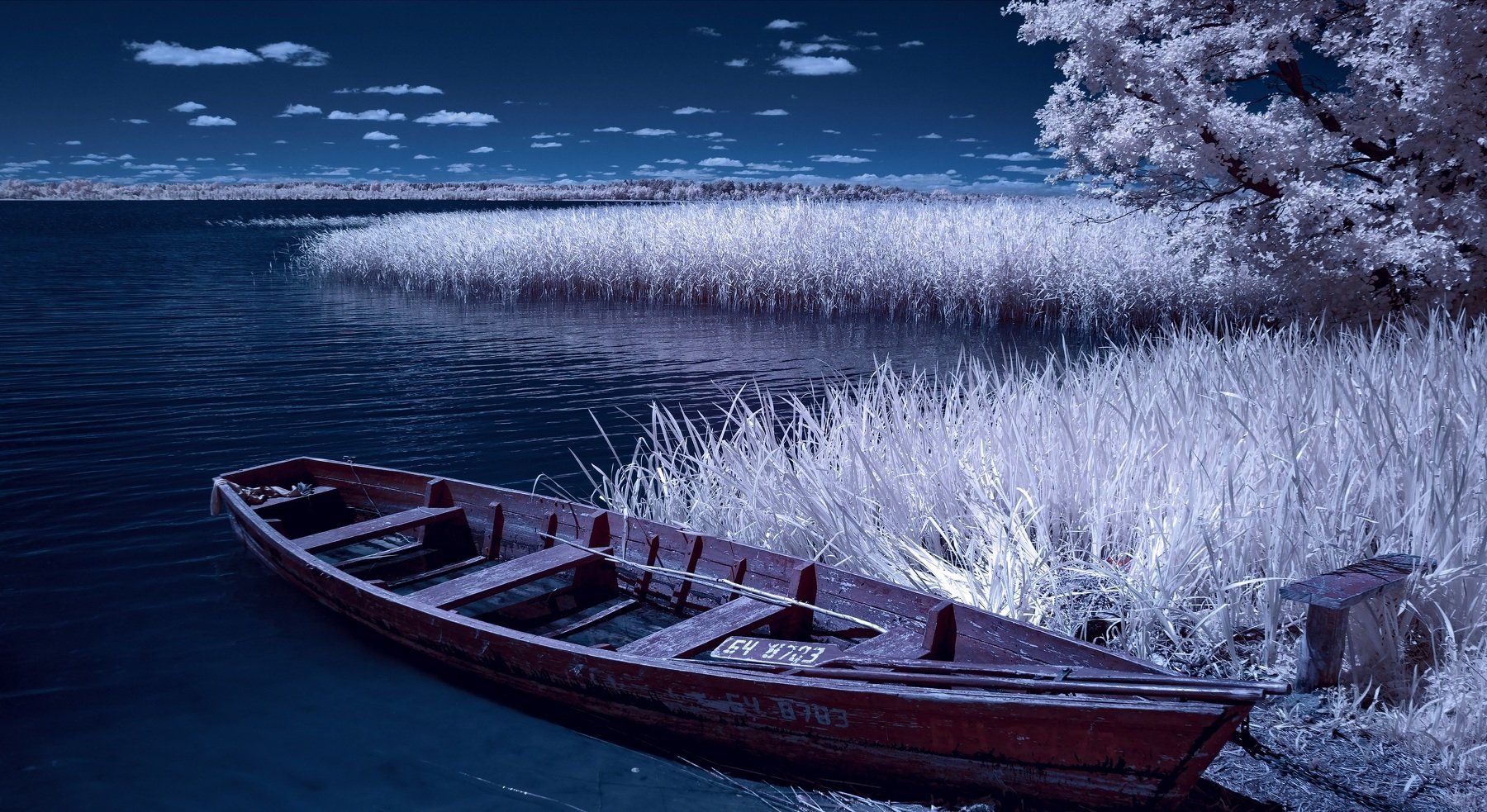 infrared,ик-фото,инфракрасное фото,инфракрасная фотография,пейзаж,природа,беларусь,лето, Sixten ( Сергей )