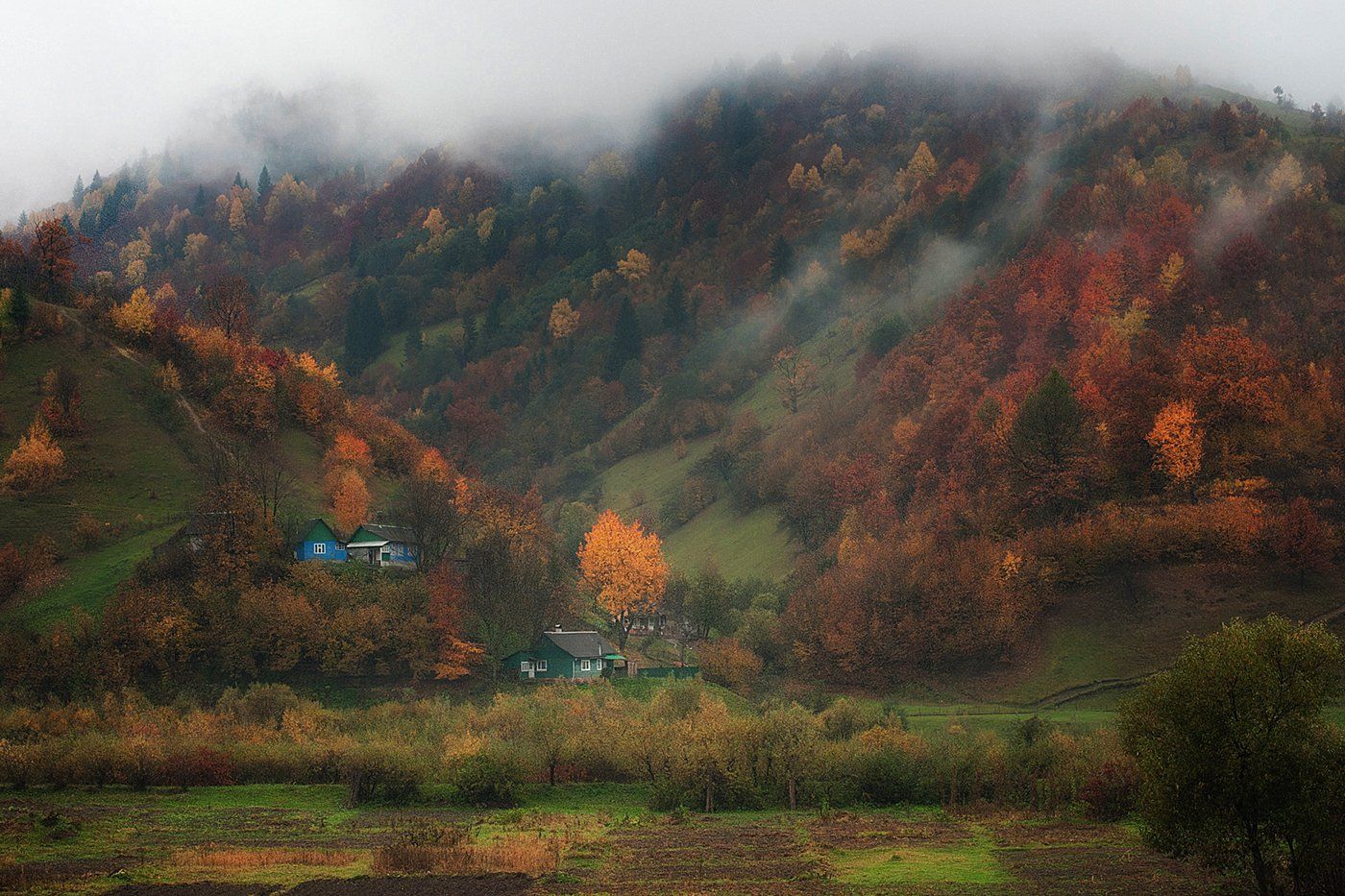горы, домики, осень, карпаты, Вьюшкин Игорь