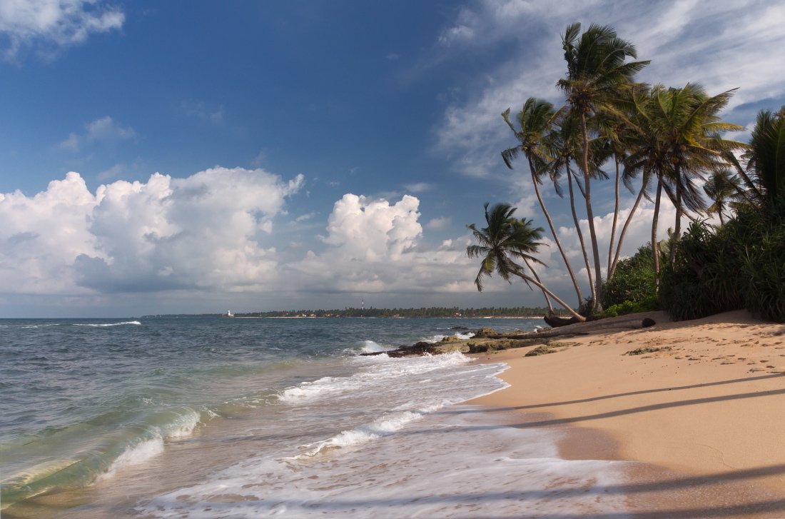 Пляж песок океан пальмы облака Шри Ланка, Георгий Машковцев