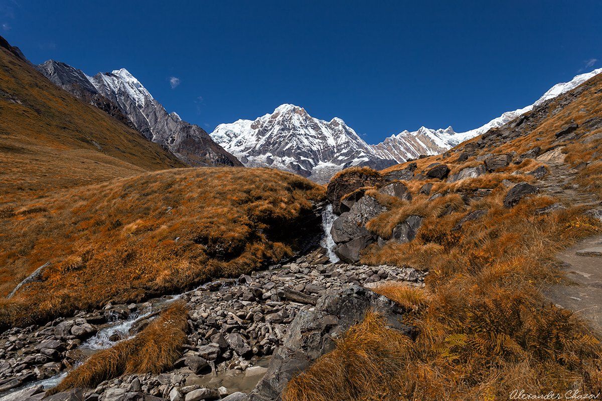 гималаи, непал, аннапурна, горы, вершина, Александр Чазов
