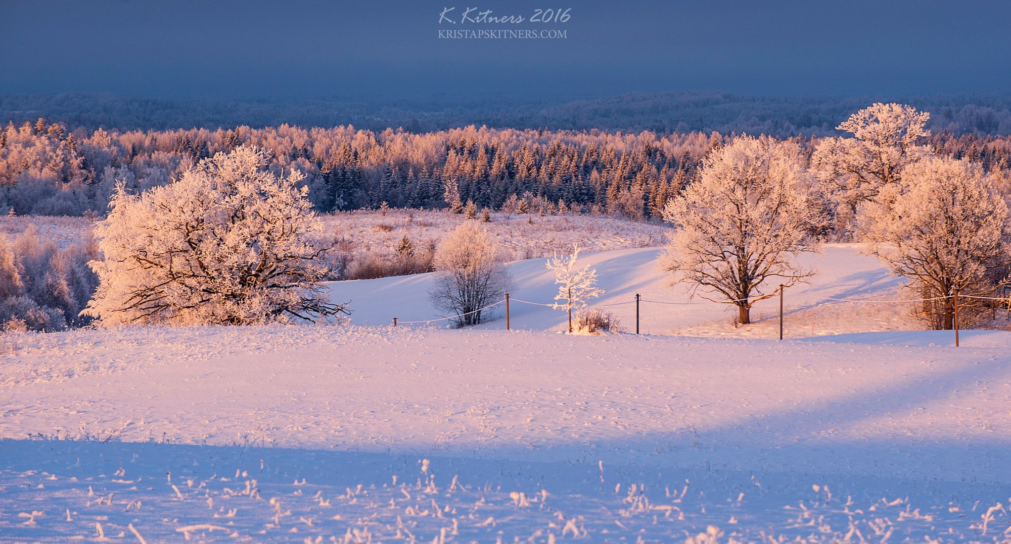 snow frost forest tree blue white winter sky clouds latvia landscape field sun sunset cold, Kristaps Kitners