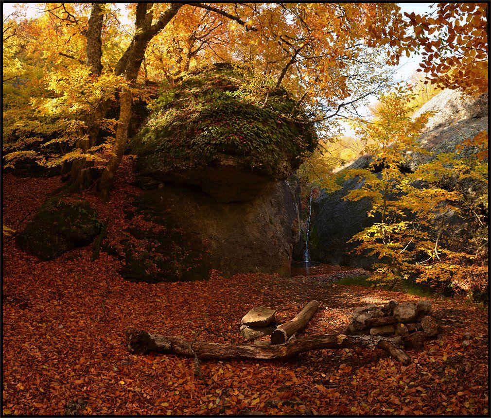 крым, урочище джурла, стоянка в лесу, осень, Владимир Метцгер
