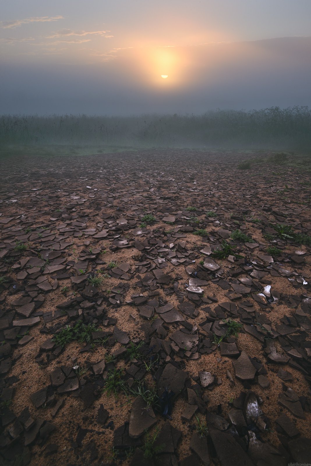 туман рассвет пейзаж шоколад , Морозов Юрий