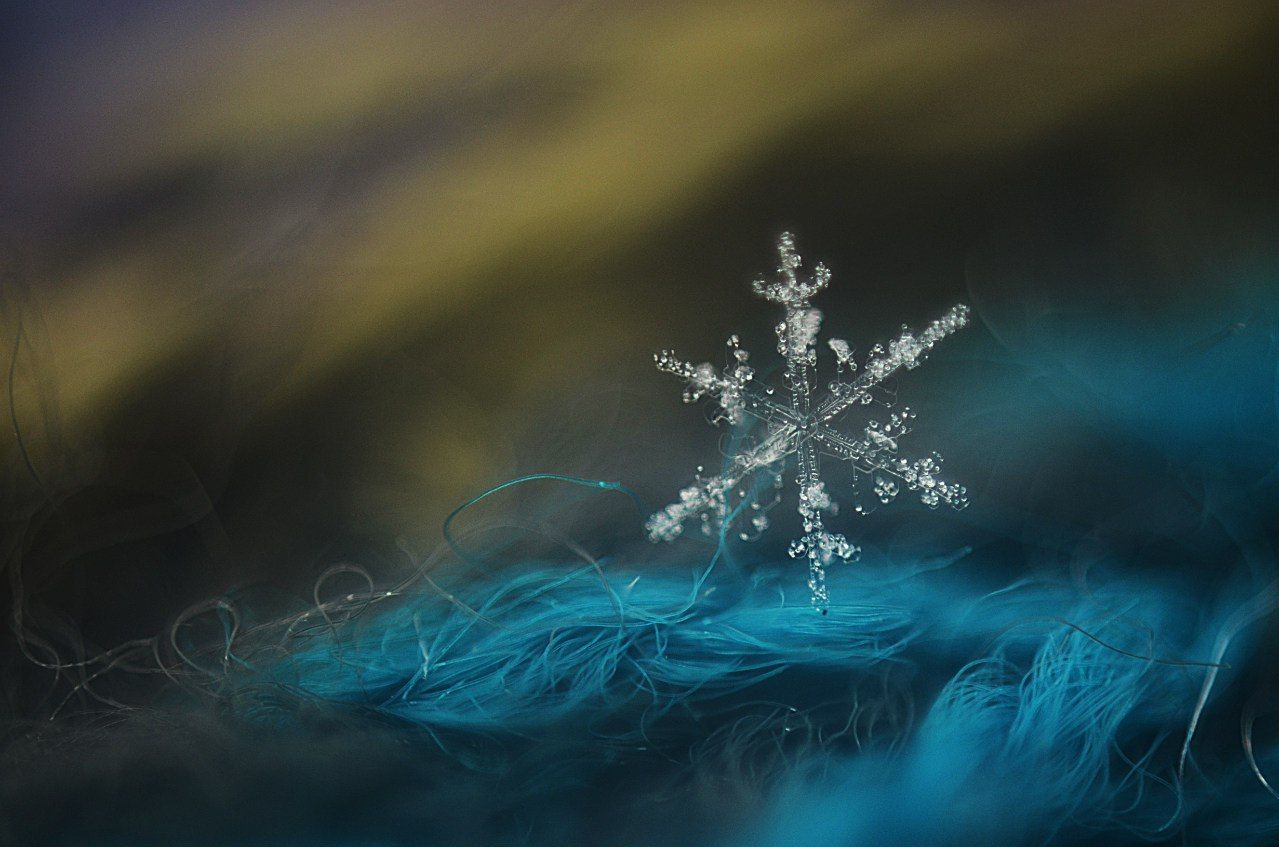 зима, снег, снежинка, макро, красиво, голубой, природа, Лапшина Владлена