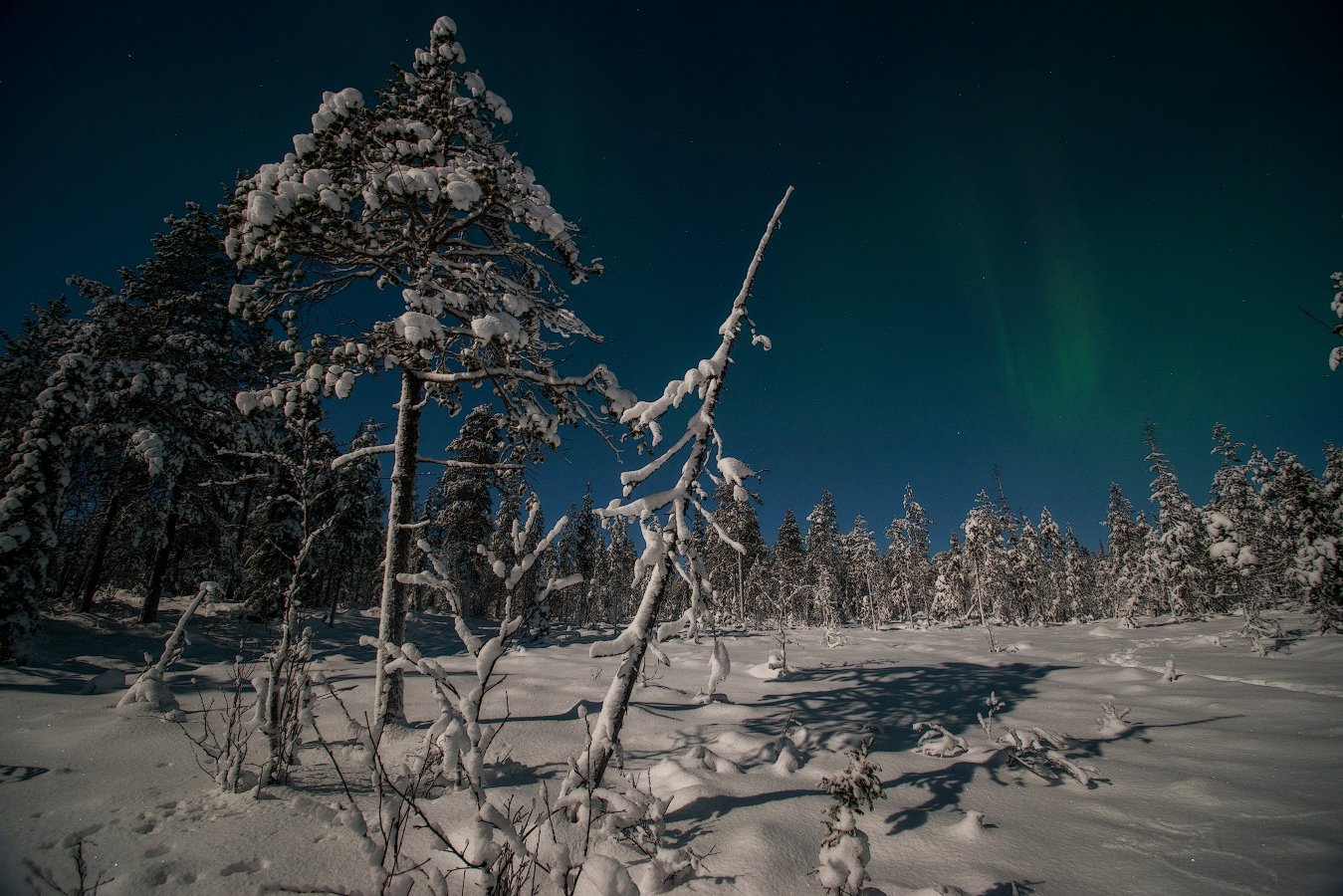 aurora borealis, северное сияние,хибины,север,кольский,заполярье,, Роман Горячий