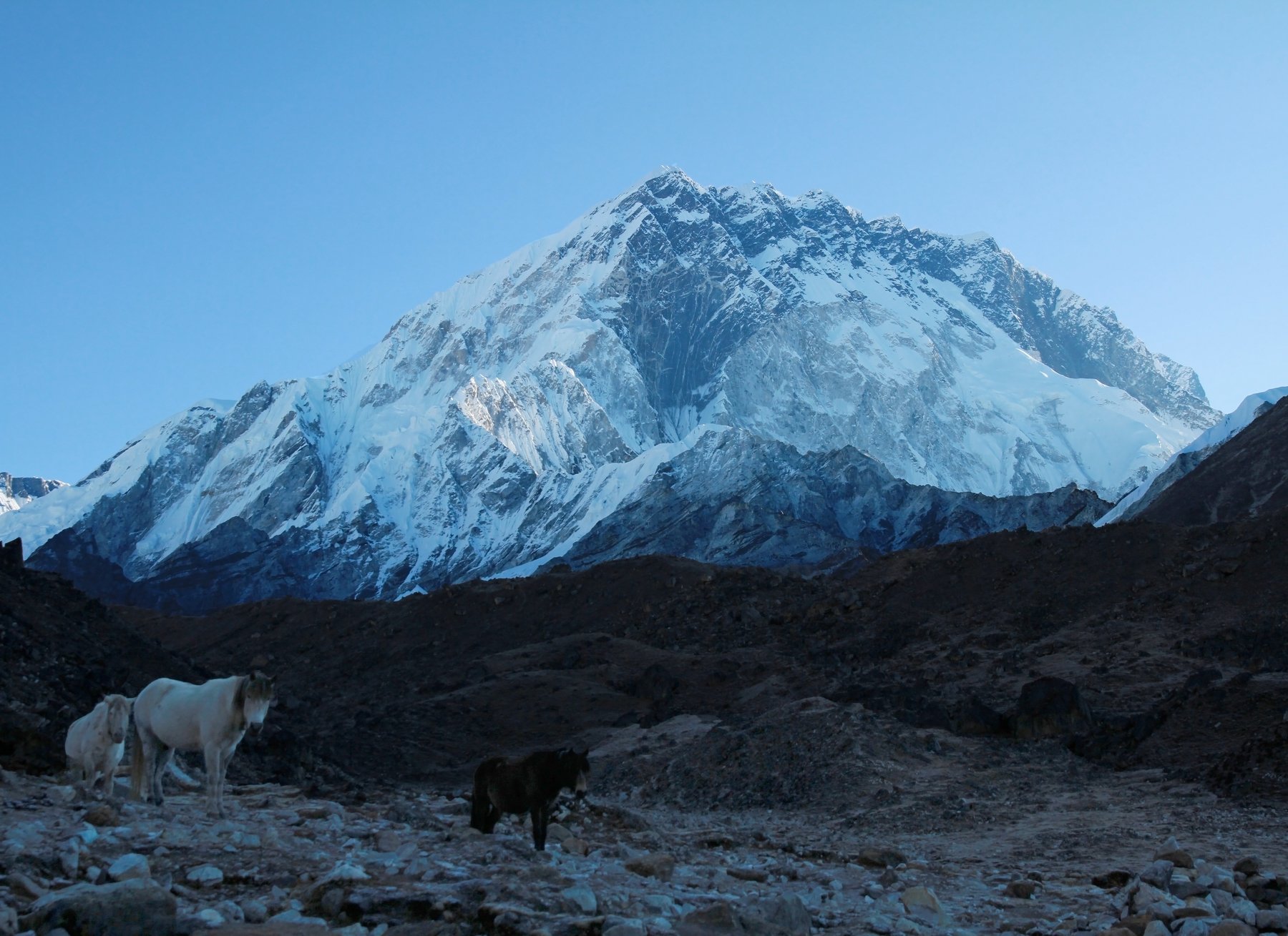 Нупцзе, Непал, Гималаи, горы, , Ekaterina Velichko