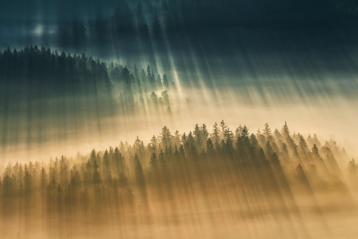 landscape,canon,mist,light,autumn, Iza,Darek