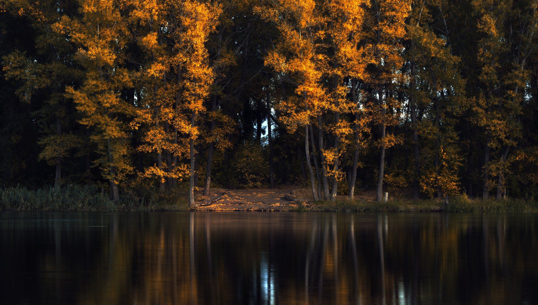 осень, река, отражение, гладь, тишина, осень, деревья, урал, вечер, Илья Логачёв