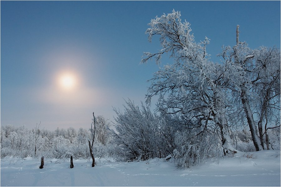 луна, вечер, мороз, Илья Бармин