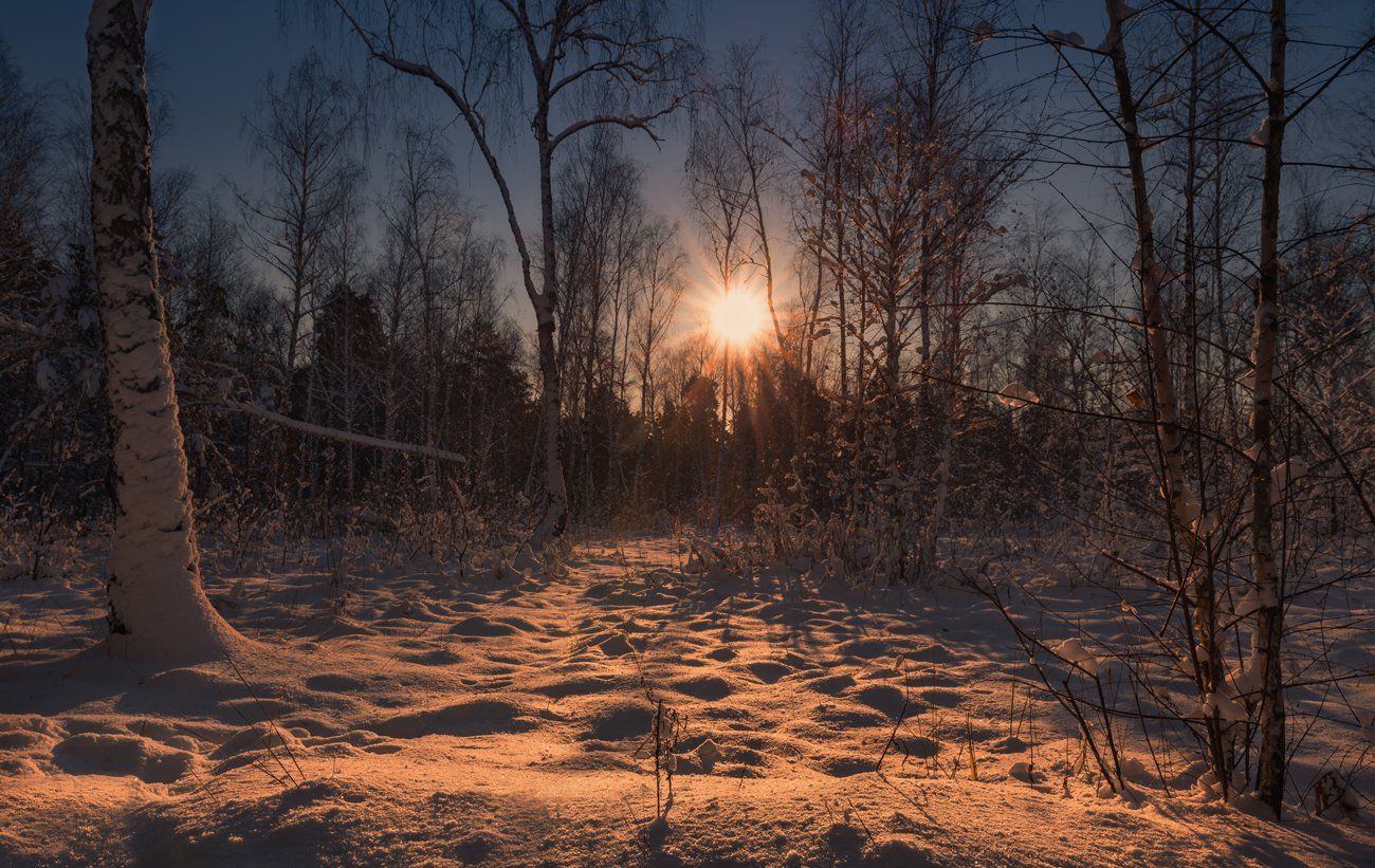 лес, зима, утро, снег, рассвет, солнце, Галанзовская Оксана
