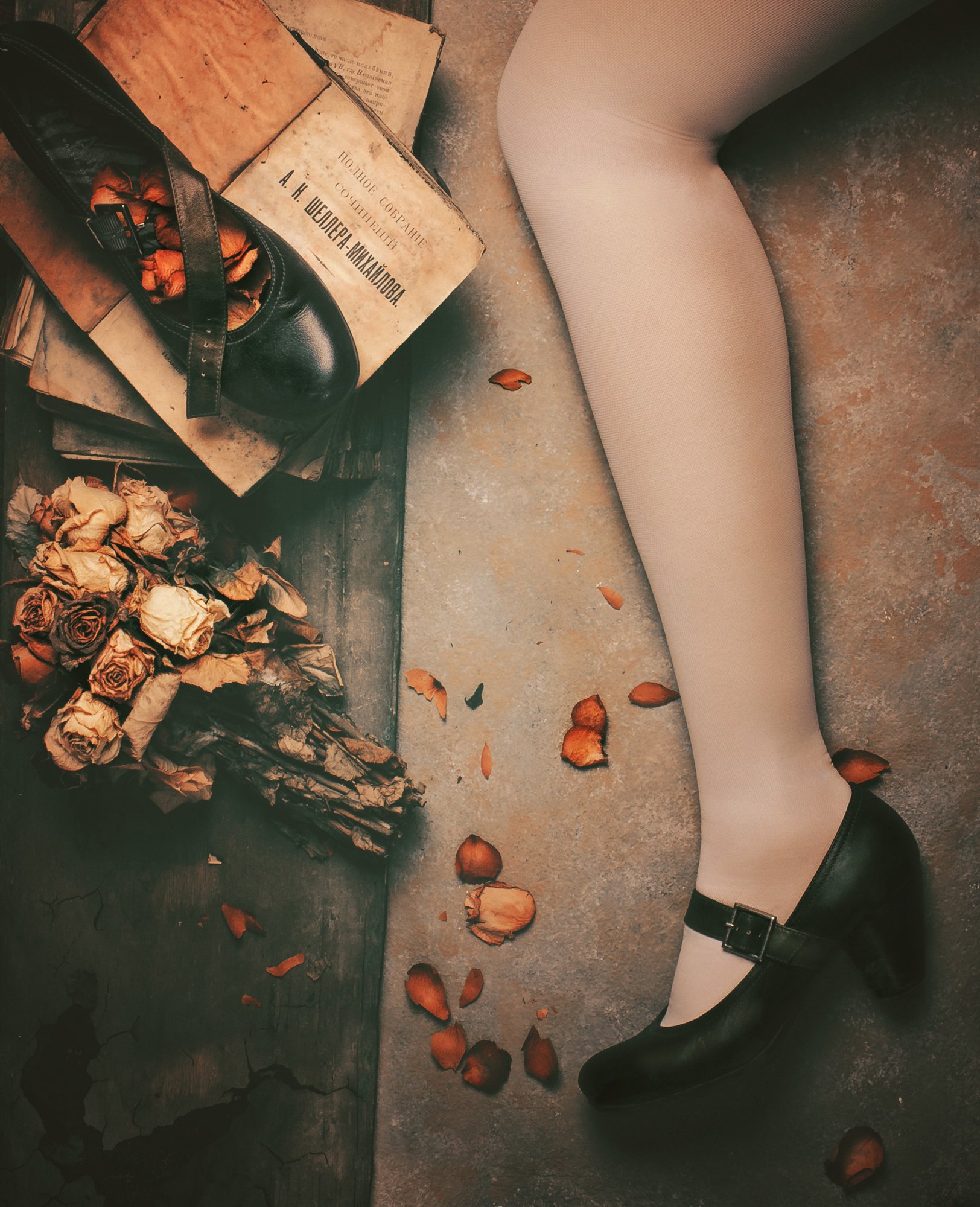 книги, нога, часть тела, цветы, засушенный, лепестки, туфли, натюрморт, вид сверху, Наталья Голубева