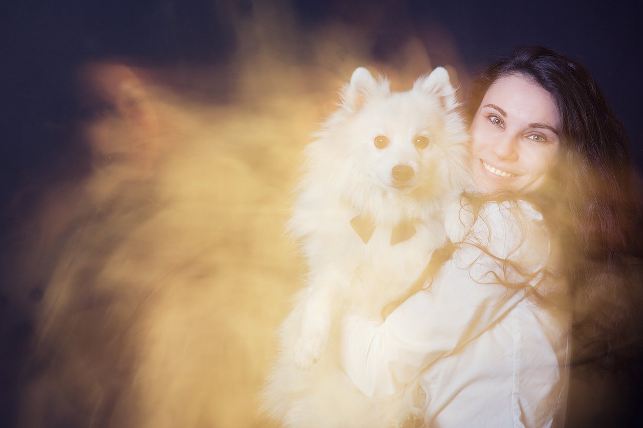 собака, шпиц, новый год, девушка, хозяйка, белый, красивая, Дарья Комарова