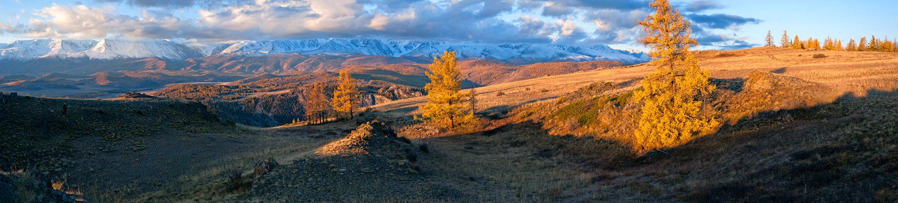 горы, лиственницы, утро, курай, северо-чуйский хребет, горный алтай, республика алтай, Валерий Пешков