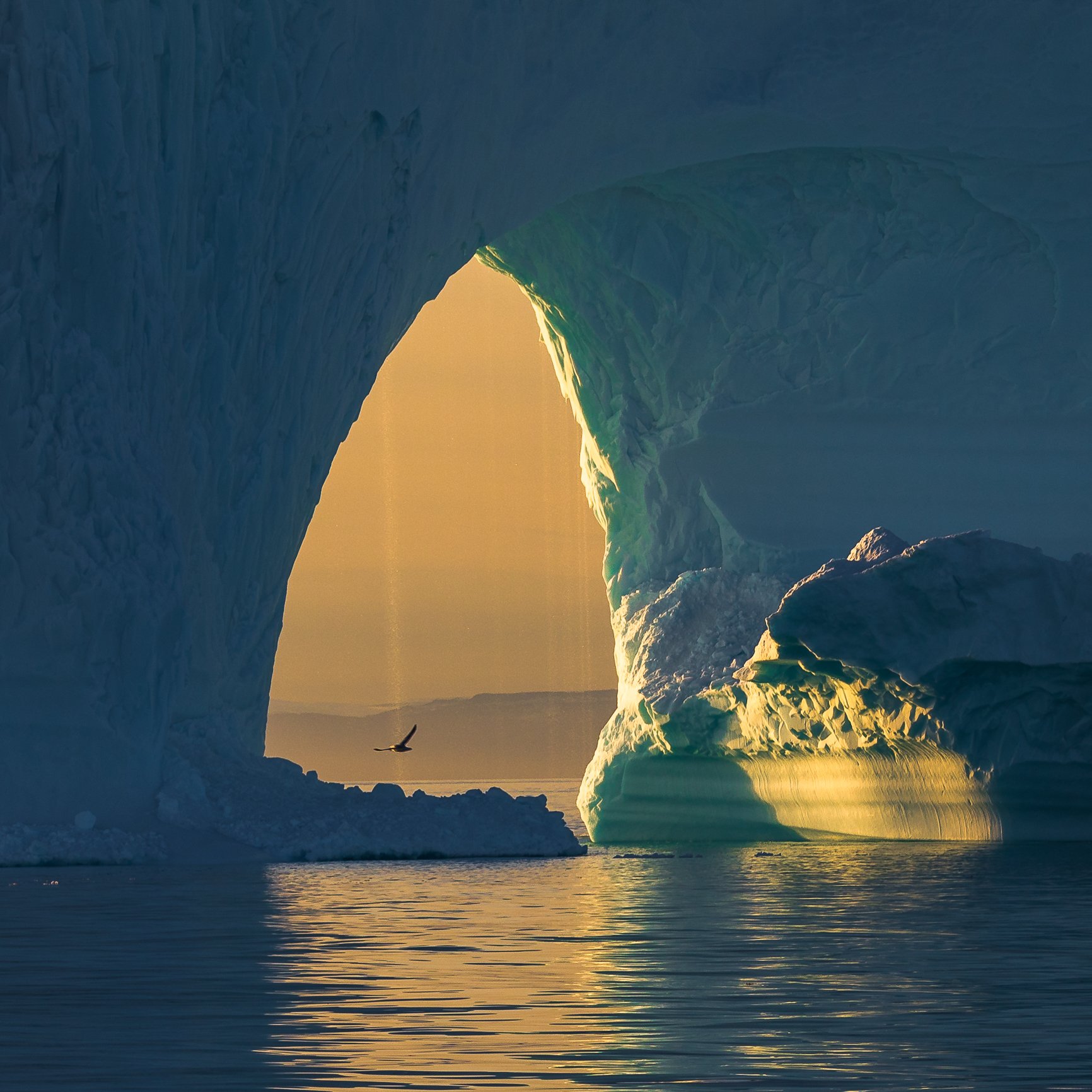 iceberg,greenland,sun,bird, Marek Biegalski