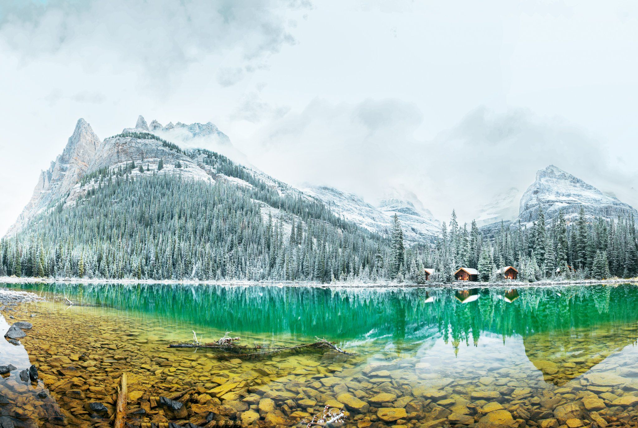 canada ,british columbia, bc ,yoho ,yoho national park ,larch season ,lake o\'hara ,amazing nature, explore canada, canadain, mountain peak, panorama, autumn in canada ,rockie mountains, canadian rockies ,parks canada ,canadian photography, wild places , , Марко Радовановић