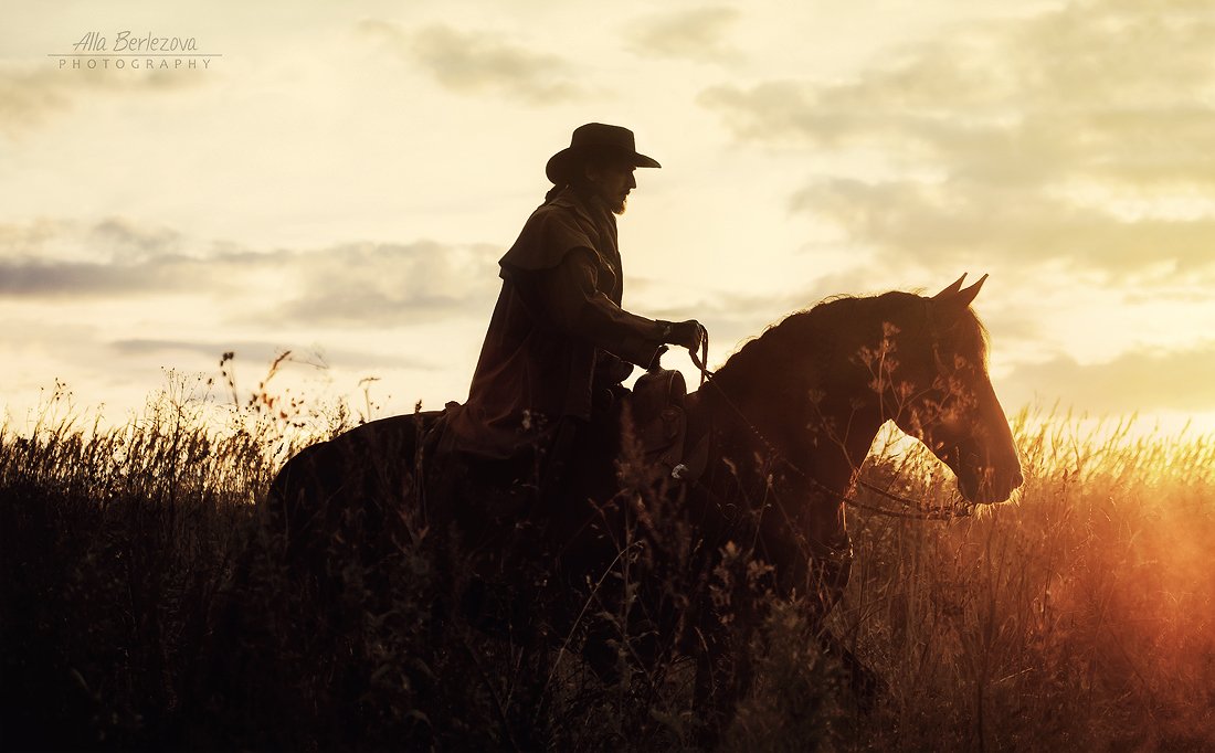 cowboy, sunset, field, sunlight, horse, draft, Alla