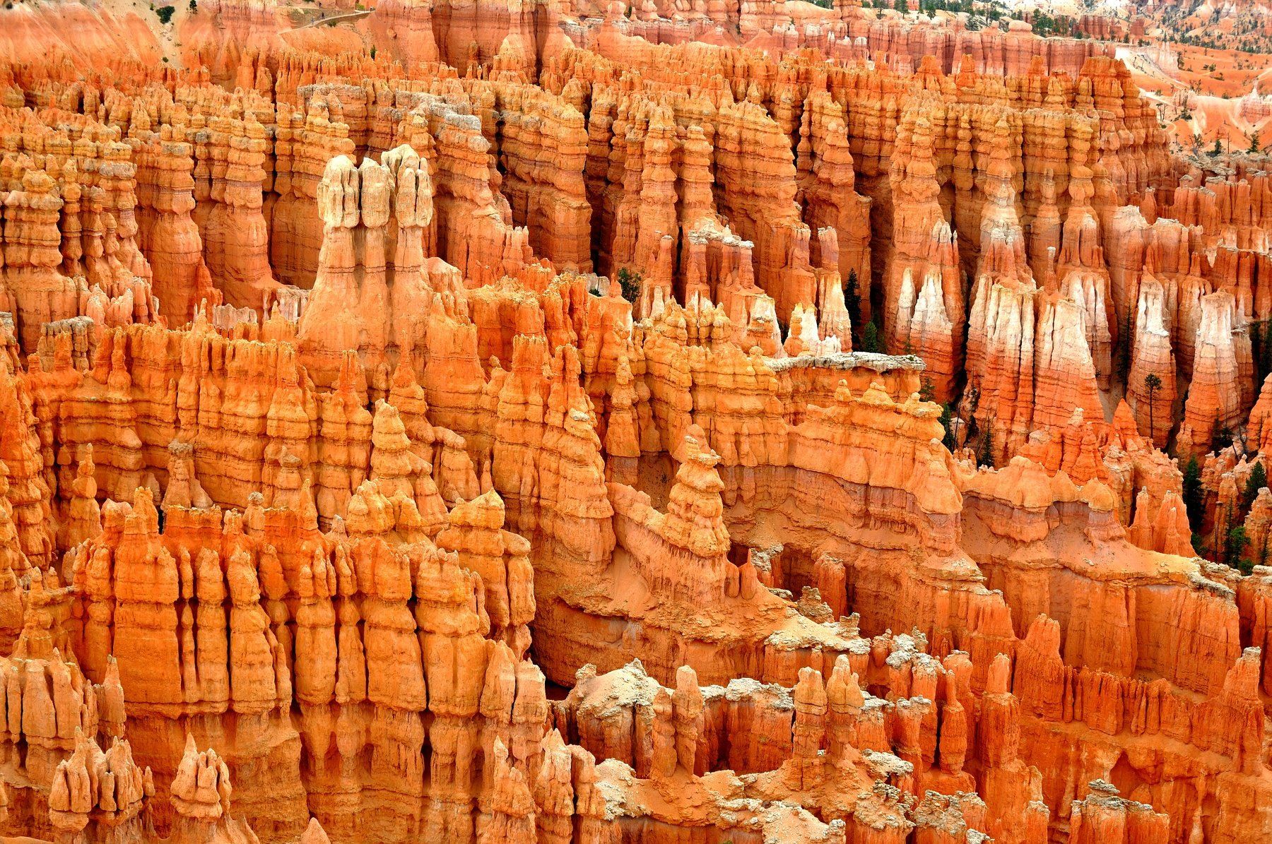 USA, national park, stone, rock, orange, travel, canyon, America, Bryce Canyon, Natioanl park, Jiri Kuchar