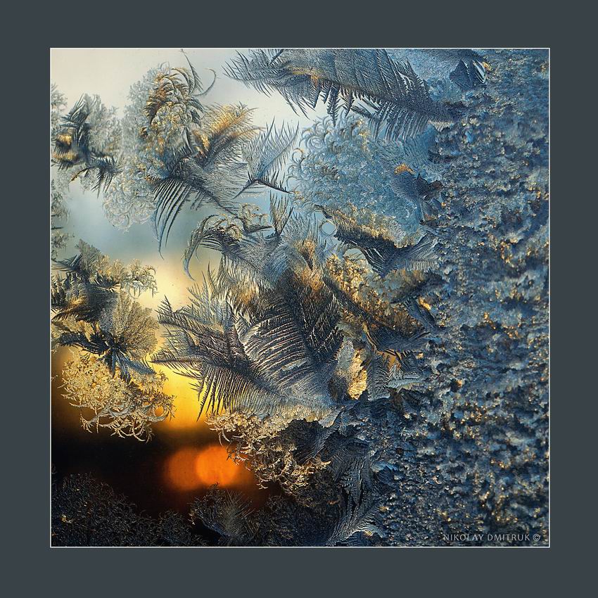 природа, музыка, зима, николай дмитрук