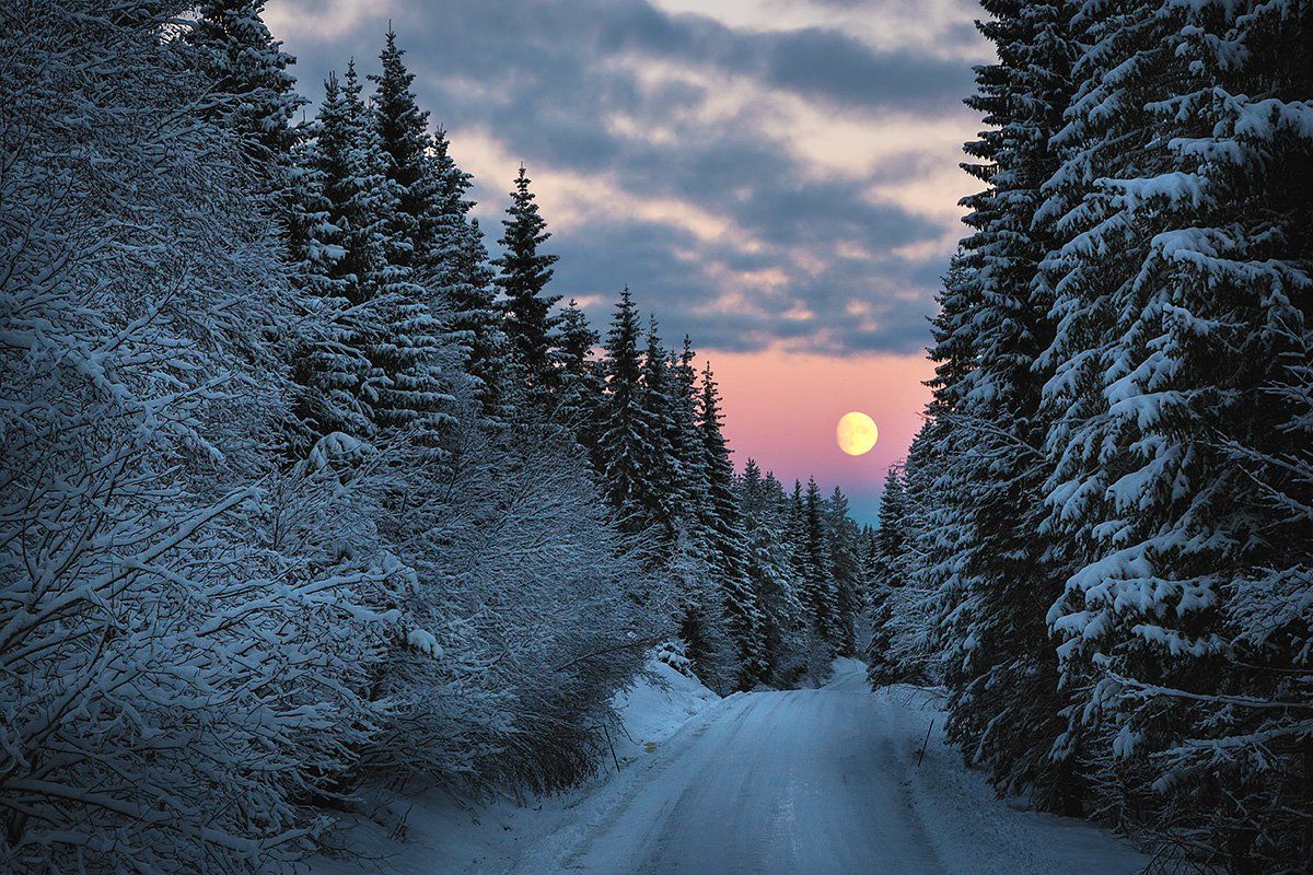 winter, norway, forest, fullmoon, moon rise, snow, snowy, norwegian, road,, Adrian Szatewicz