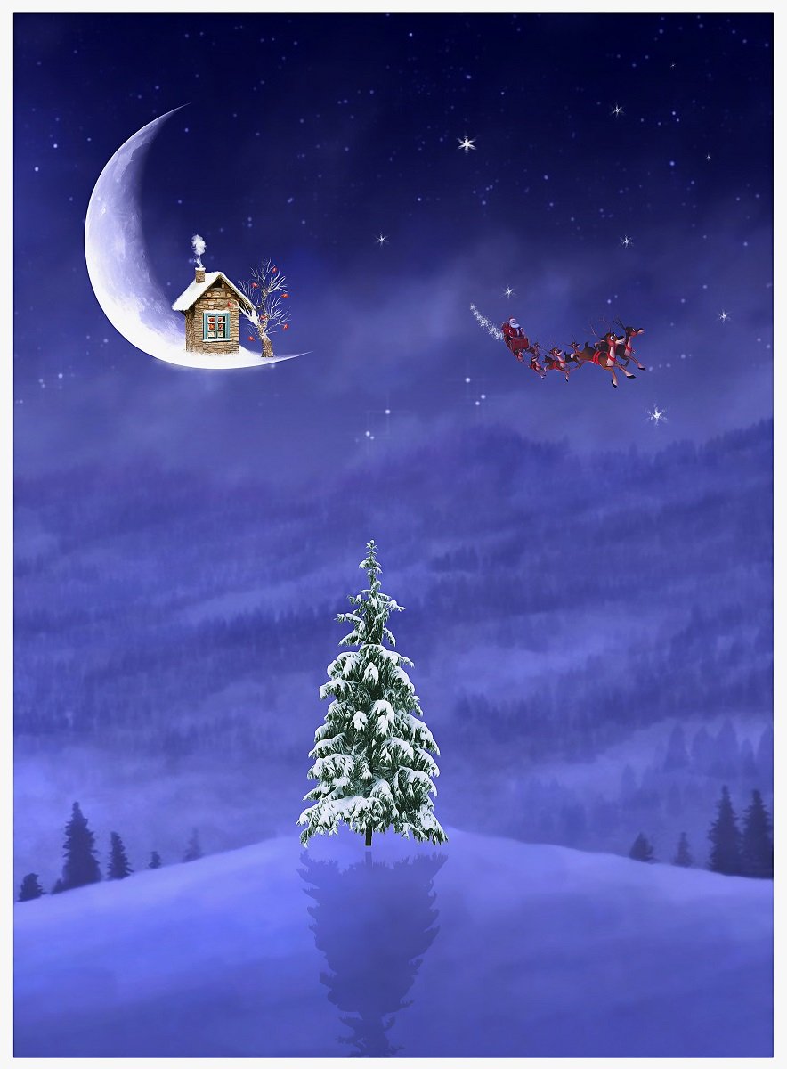 дед мороз, луна, ель, рождество, новый год, Sergii Vidov