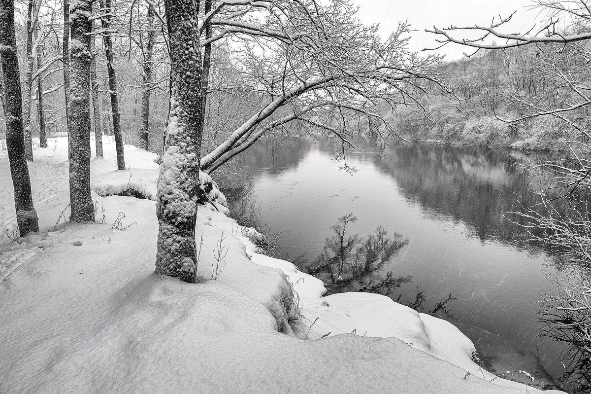 черно-белое,пейзаж,природа,снег,b/w,россия,зима,декабрь, Юлия Лаптева