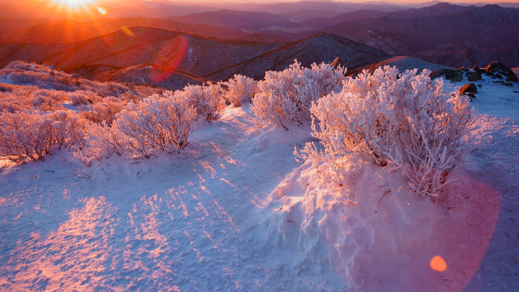 south korea,sunrise,winter,mountain,snow, rime ice, sun,sunlight,trees,landscape, Shin