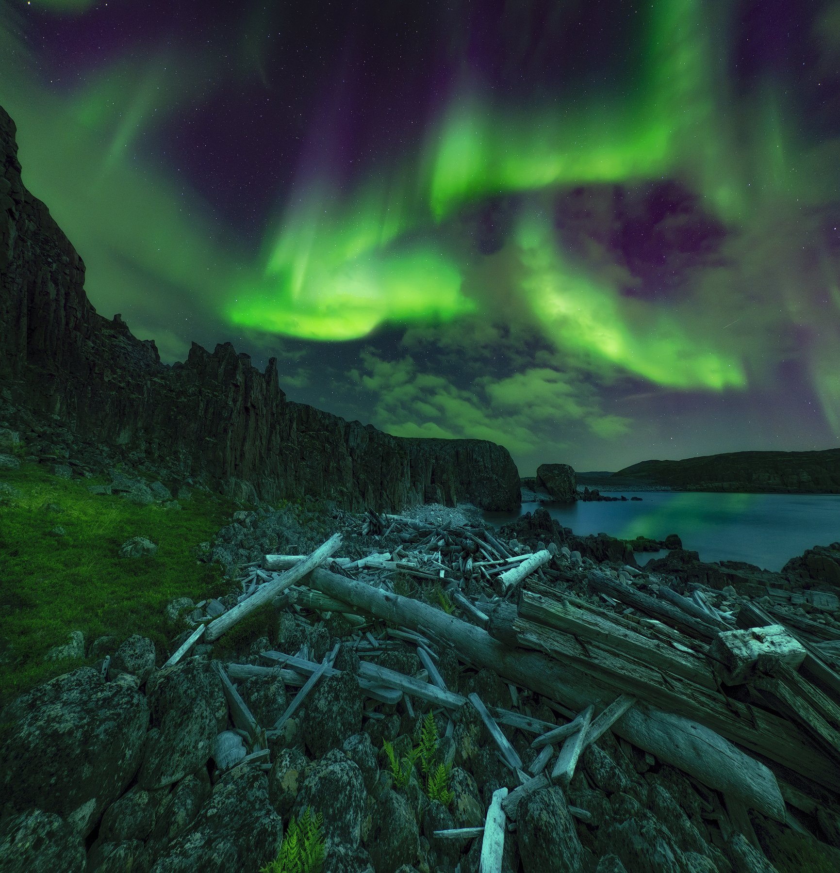aurora borealis, северное сияние, кольский полуостров, дальние зеленцы, Васильев Алексей