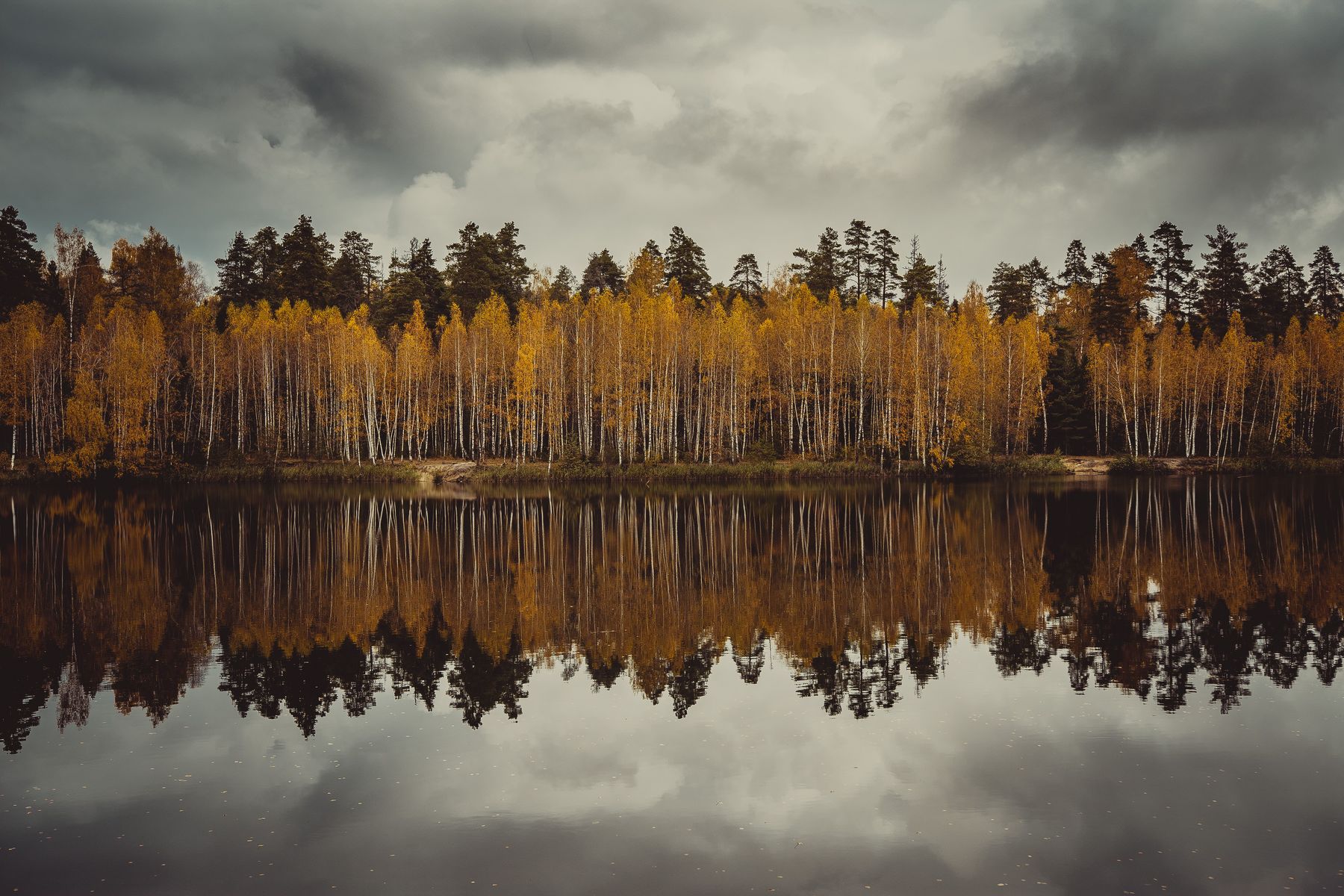 Пейзаж, осень, озеро, деревья, природа, Россия, отражение, Василий Шумкин