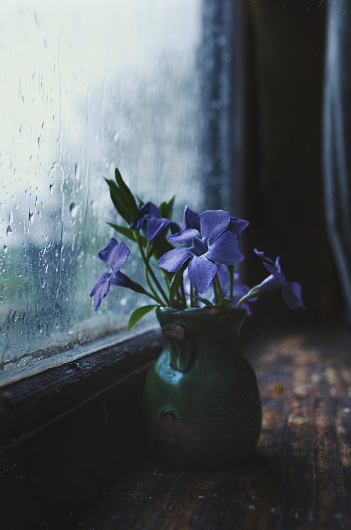 цветы, окно, натюрморт, весна, дождь, вечер, анна салтыкова, ваза, деревня, сумерки, капли, Anna Saltykowa