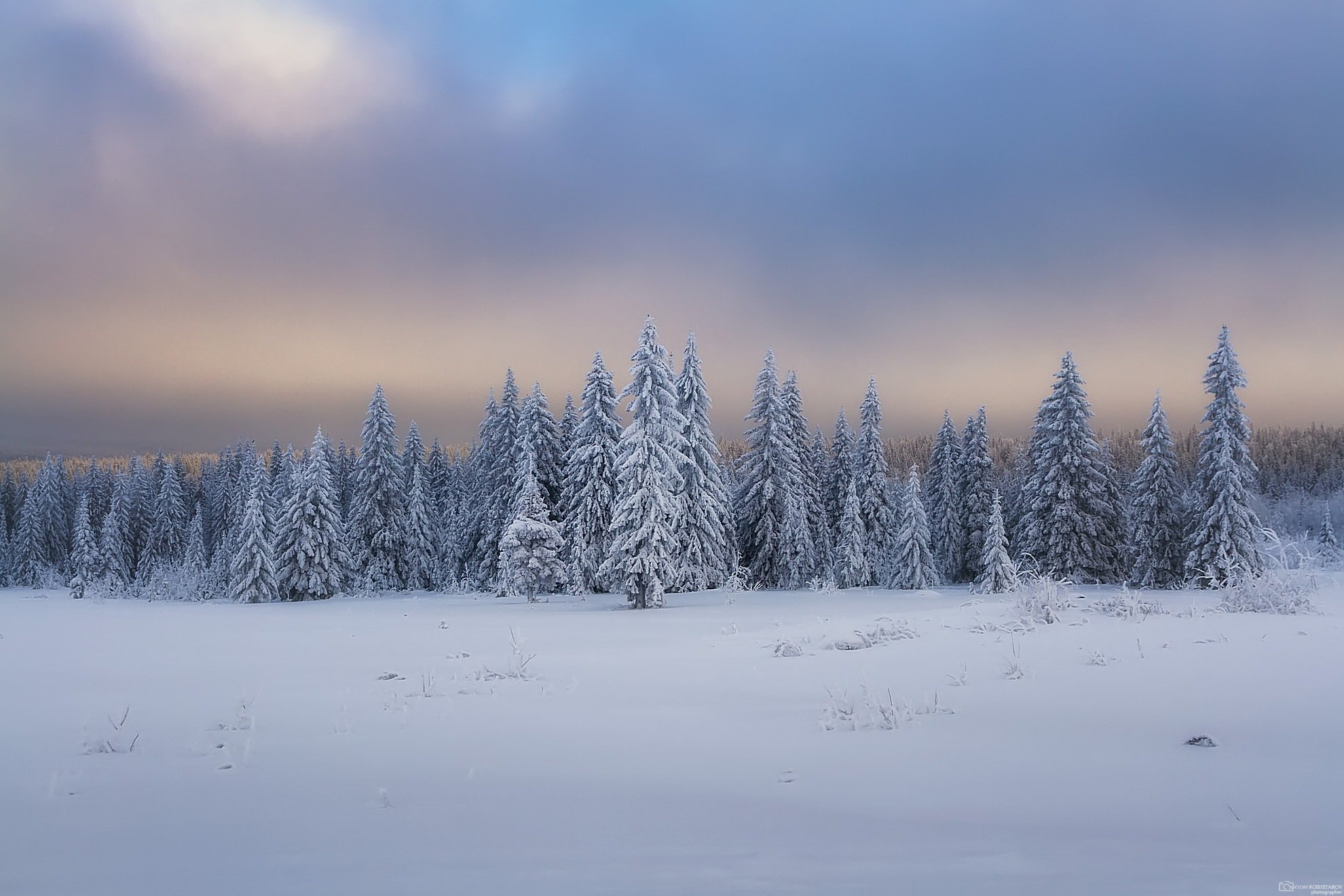 новый год,природа,зимний пейзаж,пермский край, зимняя сказка, Антон Кошетаров