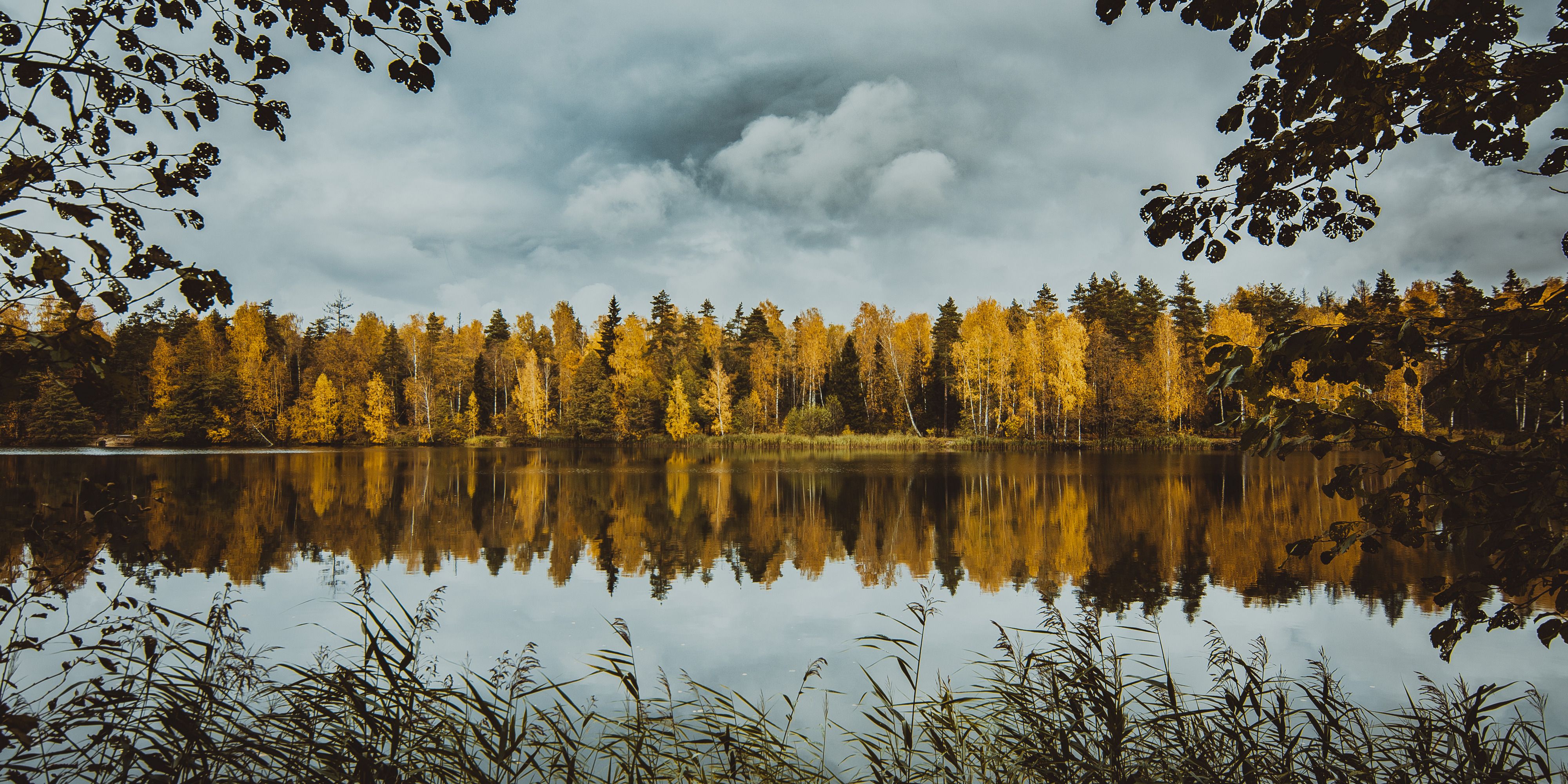 пейзаж, лес, озеро, деревья, природа, Россия, облака, Василий Шумкин